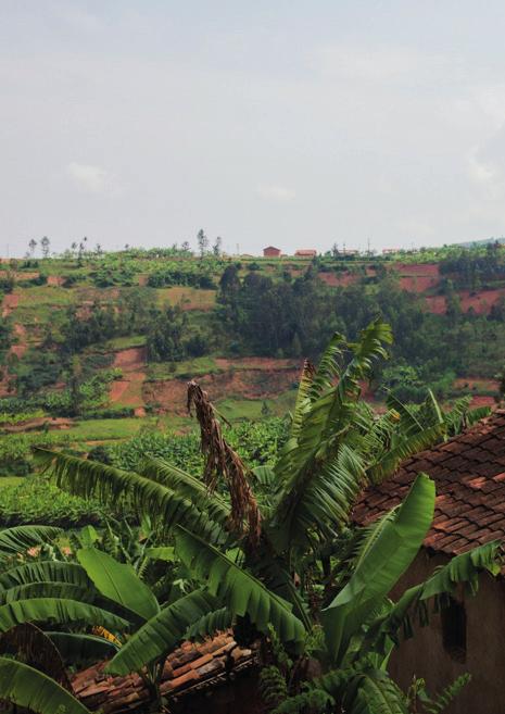 DINA-SENTER, GOMA DINA-SENTER, BUKAVU 103 jenter fikk hjelp i 2018 Nye jenter: 14 Jenter som reiste: 8 Alder på jentene: Under fem år 7 6 til 10 år 43 11 til 15 år 37 19