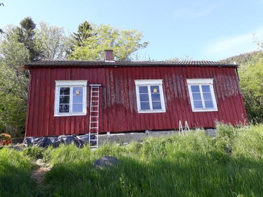 Kolonier Lokalitet 1 Etter tips ble loftet på et hus i Vanvikbakkene undersøkt 8.september og store mengder flaggermusavføring ble funnet.