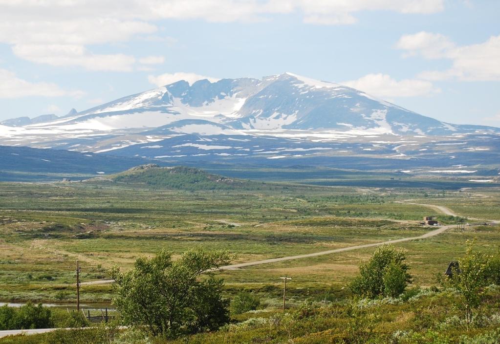 Sjekkliste kunnskapsgrunnlaget generelt for naturmangfold 13 Hvilke økosystemer, naturtyper og arter berøres av planen, jf. blant annet Naturtyper i Norge?