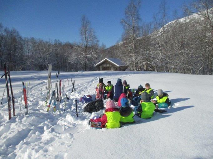 ANSVAR OG ROLLER. Kvalitetssikring og utvikling- barnehagen som pedagogisk virksomhet.