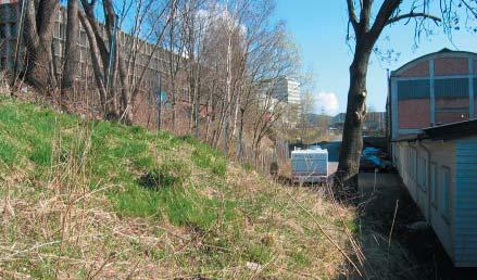 Bertrand Narvesens vei og Ensjøveien kan med fordel skje med opphøyde gangfelt. Forlengelsen av parkdraget forbi Ensjøplassen kobles til fortau i ny gate i Tyngdepunktet.