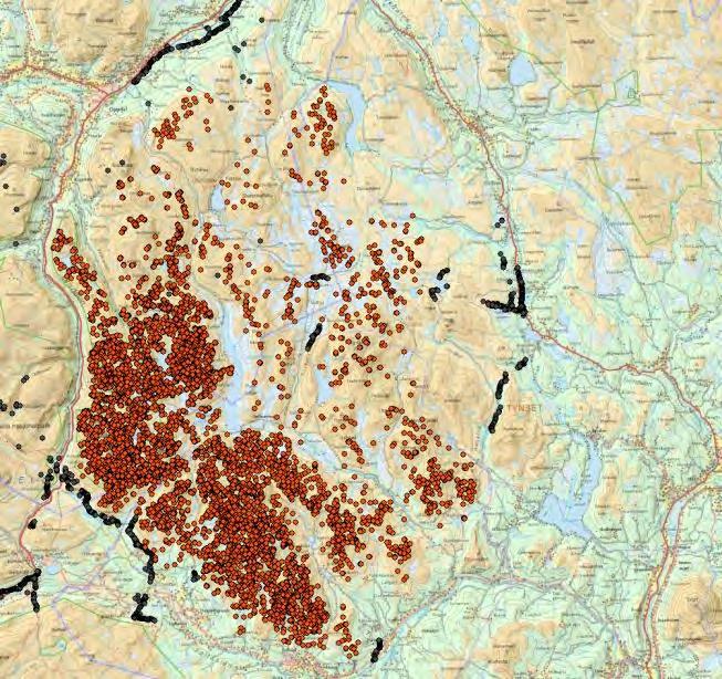 Kart 7: GPS-lokaliseringer i Knutshø villreinområde (røde prikker) fra periodene august desember 2009-2012. Grå prikker viser fangstgropene / fangstgroprekkene i området.