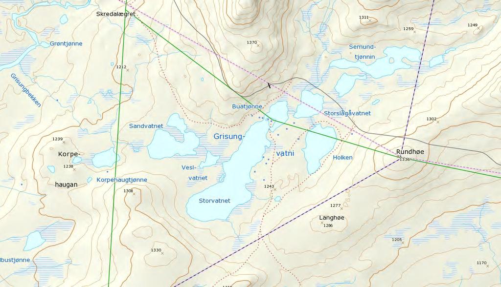 Kart 1: Oversiktskart over Grisungvatna. Denne saken har pågått siden 2014, og det er spørsmålet om ny tomt som det har tatt tid å behandle i Statskog, Lesja fjellstyre og Dovre fjellstyre.