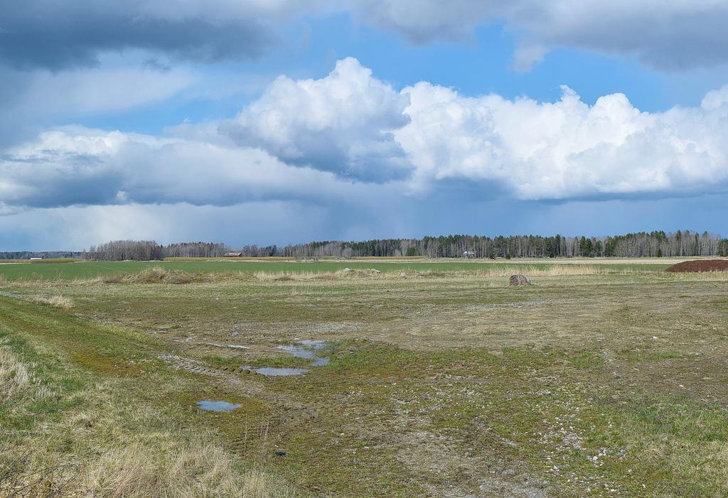 Bilde 8-12: Området i framgrunnen er den nordøstligste delen av arealene som er sett av til framtidig næringsutvikling på Sätra.