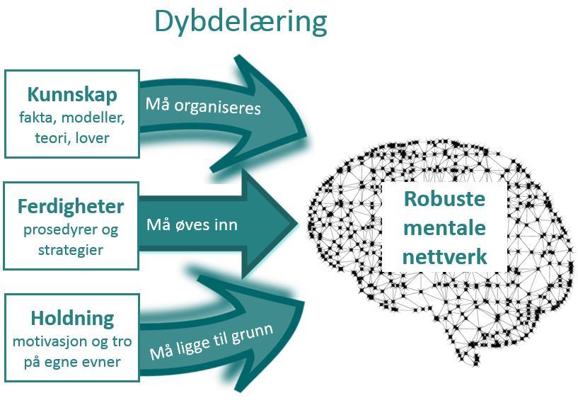 dybdelæring. Det er viktig å understreke at dette er prosesser som henger sammen og påvirker hverandre gjensidig.