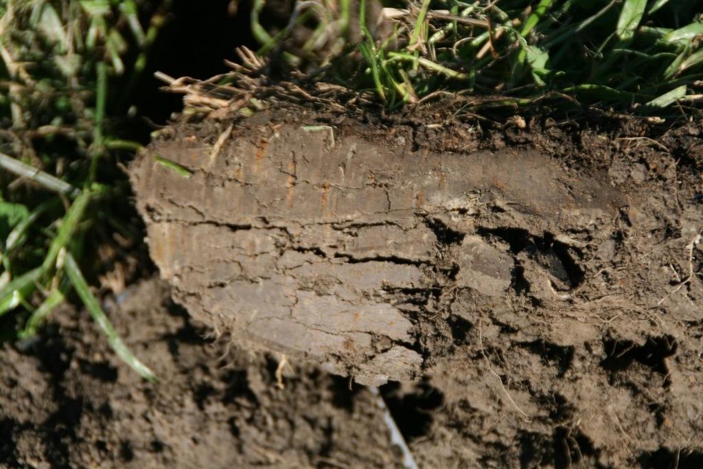 Platestruktur = strukturskade Horsisontal oppbrekking og