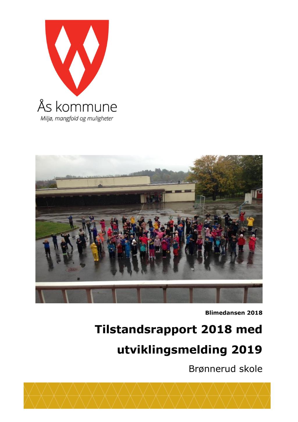 Blimedansen 2018 Tilstandsrapport 2018