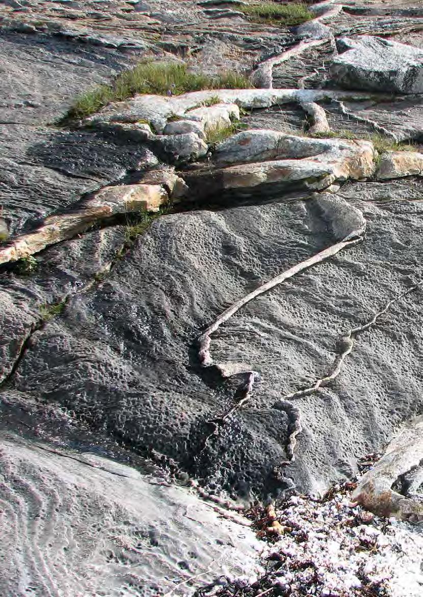 «Æ ser Nordland» av Martin Næss Æ ser på krittkvite strender, æ ser på havet som speila sola, æ ser på holma og skjær. Dette e altså Nordland. Dette e altså vårres hjem. Et måseskrik.