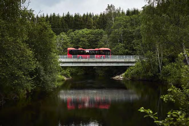 Østensjø Arbeiderparti vil arbeide for å gjøre bydelen vår enda grønnere og bærekraftig. Vi vil derfor fortsette å prioritere friluftsliv, oppgraderinger av grøntarealer og turveier i bydelen.