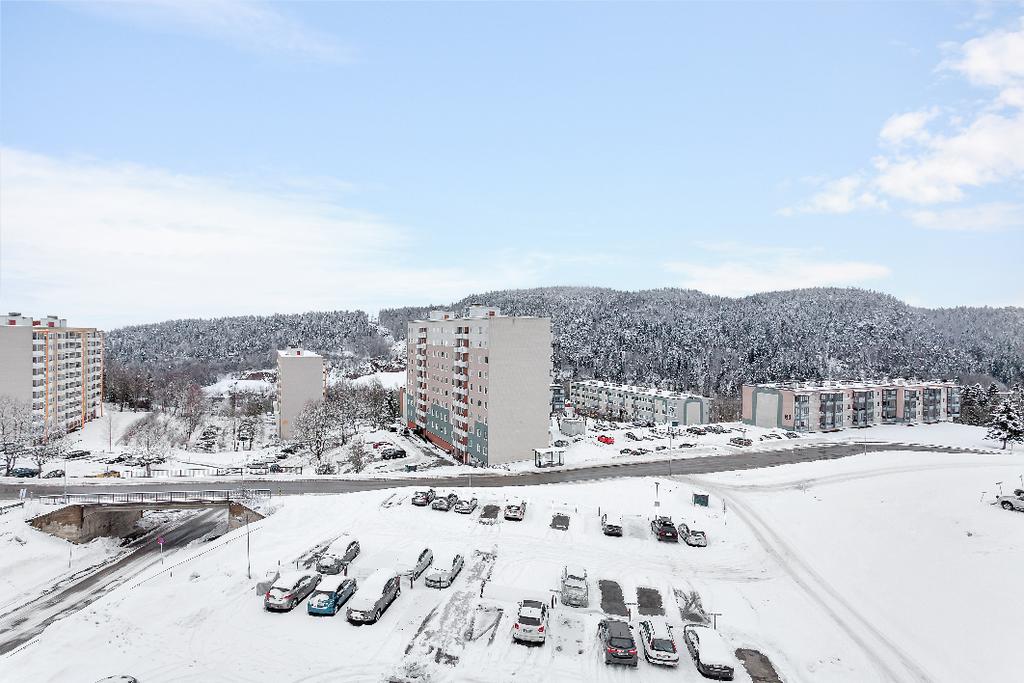 Vilkår For andelsboliger er det borettslaget som er hjemmelshaver til selve eiendommen, Andelseiere har hjemmel til en andel i borettslaget og borett tilknyttet til denne, Andelseiere er felles