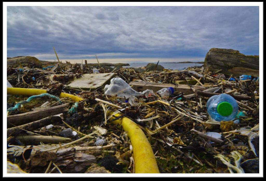 Registrering av strandsøppel er den eneste indikatoren på marin forsøpling som sier noe om kilden til søpla.