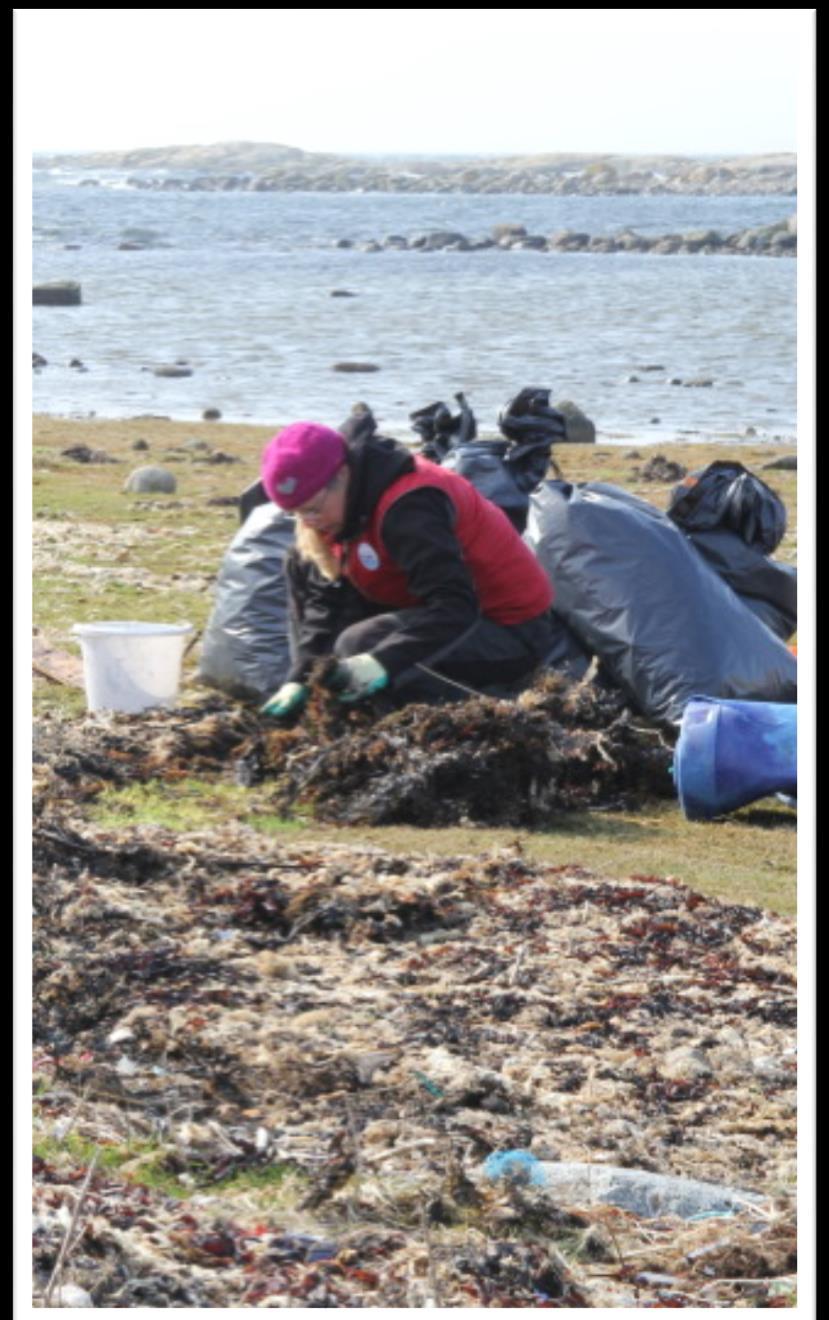 Hva er «Strandsøppel dypdykk»? «Dypdykk strandsøppel» er en metode utviklet av SALT, en uavhengig kompetansebedrift med kunnskap om og for kysten.
