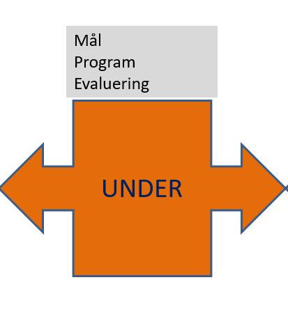 Positive erfaringer før negative erfaringer Skille mellom utviklingssaker og forvaltningssaker Medskaping