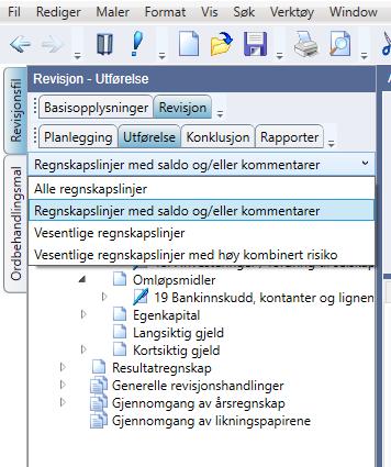 Utførelse Utførelsen kan enten dokumenteres via siste fane i anslått risiko eller i grenene under Utførelse.