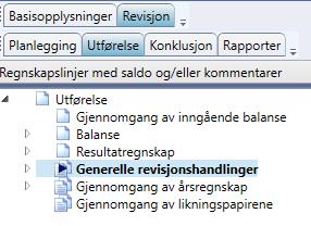 Generelle revisjonshandlinger Generelle revisjonshandlinger er gjerne de revisjonshandlingene som en revisor bør har fullført før utstedelse av revisjonsberetningen.