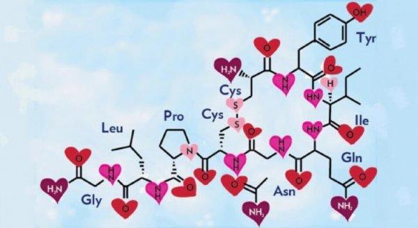 Oksytocin tilknytning - og kjærlighetshormonet - er i stor grad med på å gjøre oss til omsorgsfulle og kjærlige mennesker