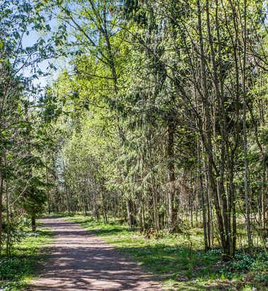 Nærhet til naturen.