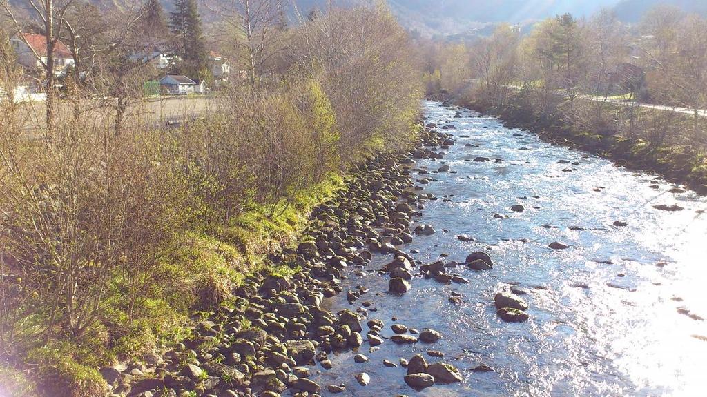 Hattebergselva tatt fra