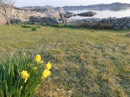 Referat frå kystgardsamlinga på Langøy i Fitjarøyane 2019 Fredag 5 og/eller laurdag 6. april var 28 personar samla på Langøy i samband med årets temasamling, kystgard og kystlynghei. Fra kl 15.