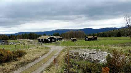 I snart 10 år har det vært etableringsstopp, men nå er det mulig å tegne nye kontrakter med Tine i avgrensende områder med underdekning. Nord-Østerdal er et slikt område.