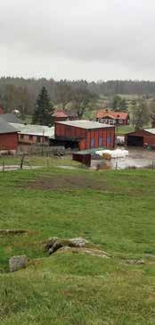 Organic milk production in the Nordic countries var den prangende overskriften for et todagers seminar som ble avholdt i Uppsala Sverige.