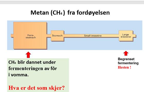 fordøyelsen: - Rasjonssammensetning - Høstetidspunkt for grovfôr -