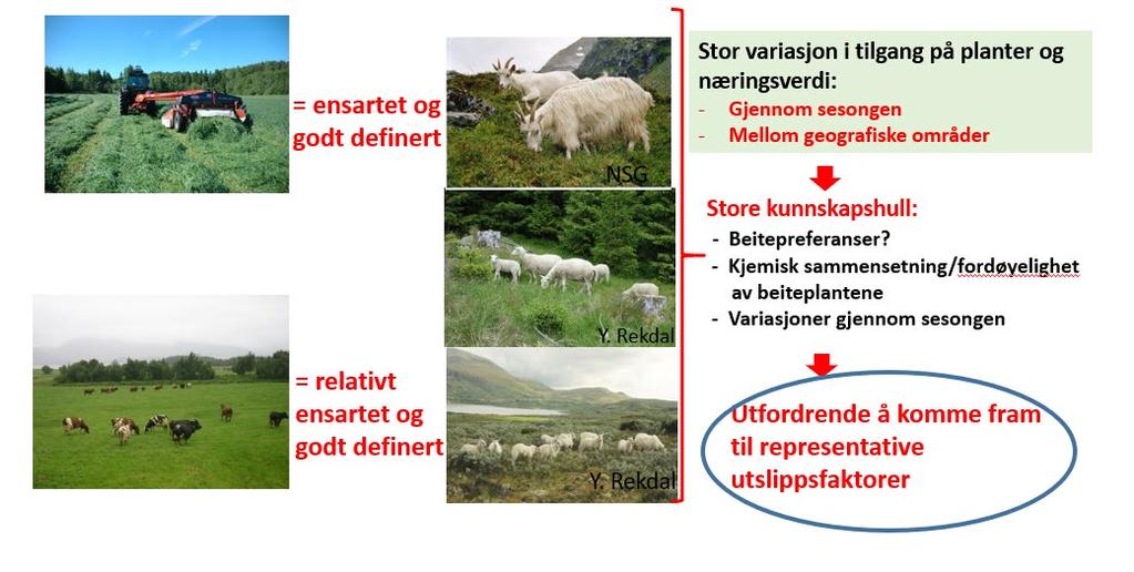 Utmarksbeite vs innmark andre