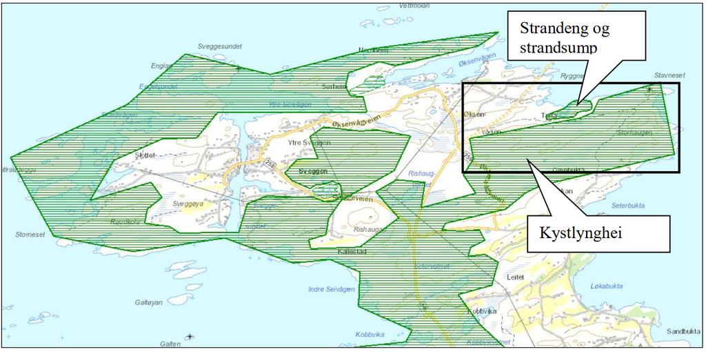 Utsnitt frå Miljødirektoratet sin Naturbase som viser at planområdet (grovt skissert med svart rektangel) inngår i ein større lokalitet med kystlynghei (grøn skravering).