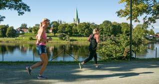 Marinen på nordre bredd er en viktig ressurs i sommerhalvåret med plasser å sole seg, et sted for sommerfester, og et sted for festivaler.