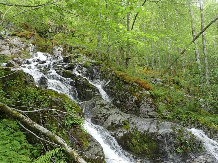 sjøen Foto: Torbjørn Høitomt