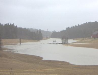 stubb på minimum 20 meters bredde. Tilsådd buffersone (6 m bredde) er tilskuddsberettiget gjennom Regionalt miljøprogram (RMP).