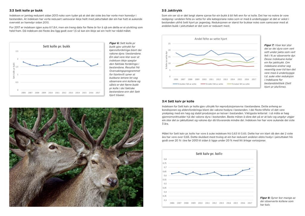3:3 Sett kolle pr bukk Indeksen er jamleg redusert sidan 2013 noko som tyder på at det dei siste åra har vorte meir hanndyr i bestanden.