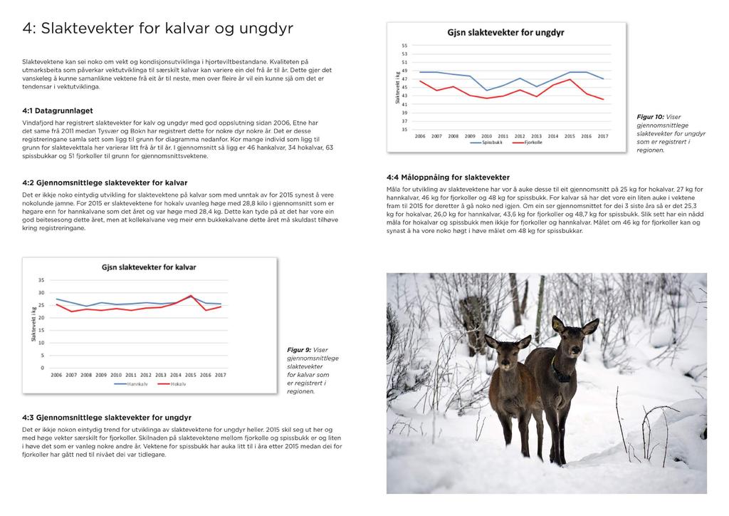 4: Sl aktevekter for kal var og u n gdyr Slaktevektene kan sei noko om vekt og kondisjonsutviklinga i hjorteviltbestandane.