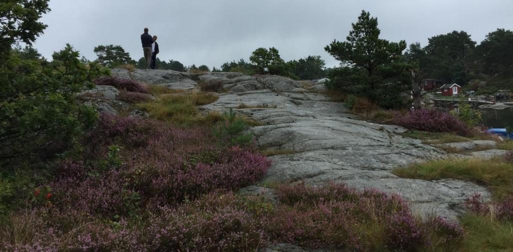 Side 14 av 37 Område mellom eksisterende fritidsboliger og strandsone. 7.