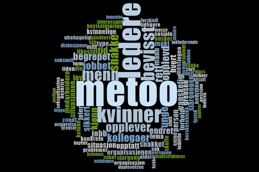 Som selvlærte NVivo-brukere, har vi også et håp om at NVivo skal være et nyttig verktøy i kodingen.