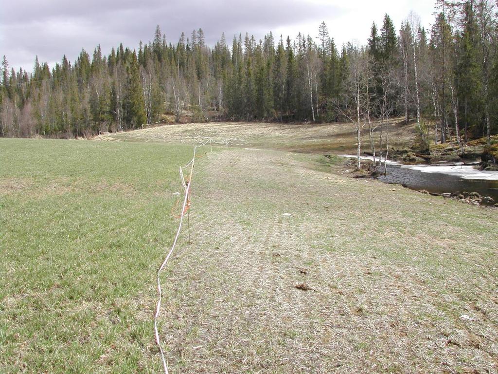 Tiltak for bedre overvintring Ofte er det summen av flere ugunstige forhold som fører til overvintringsskader og plantedød.