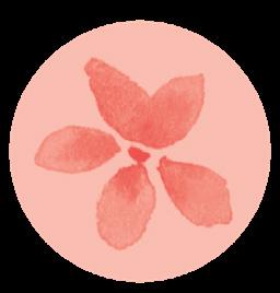 CM_Tiny_Flower_Peach_Full_