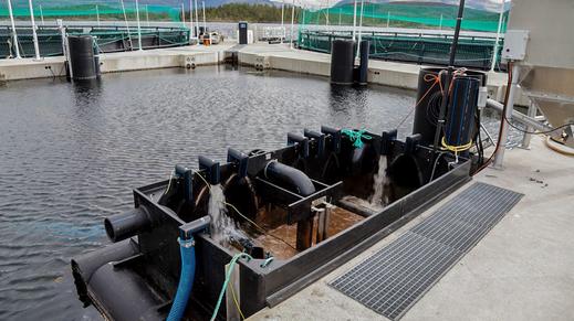 Med dagens laksepriser er denne typen teknologi lønnsom. I 2018 hadde Akvafuture en driftsmargin på 15%. Akvafuture - slamoppsamling fra matfiskoppdrett. Foto: Akvafuture 7.4.6.