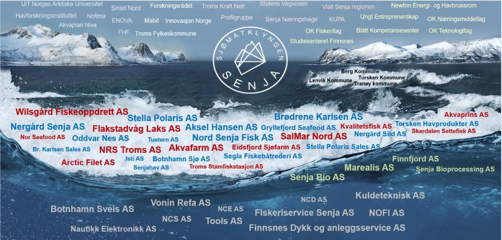 Utdanning, forskning og utviklingsinstitusjoner står sterkt i regionen. I Trondheim har NTNU og Sintef marine næringer og havbruk som satsningsområder.