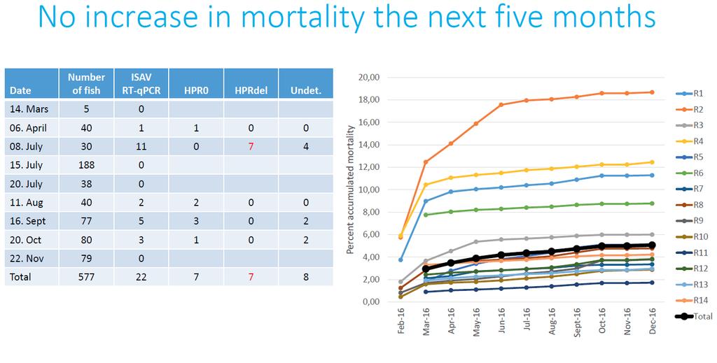 Eksempel 2: Siste ILA-utbrudd på Færøyene i 2016 Videre historie: 5. Januar: 5 qpcr positive av 90 fisk Klinisk ILA 17.