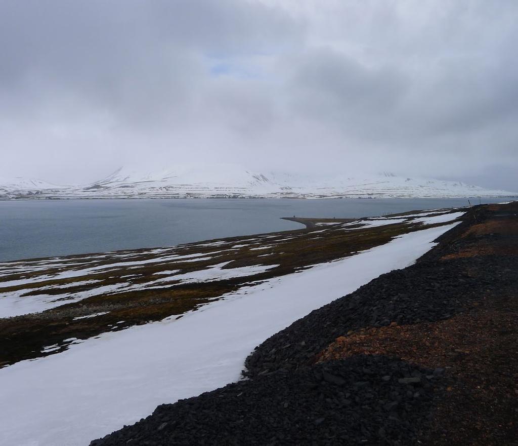 Delplan for deponi i Barentsburg forslag til