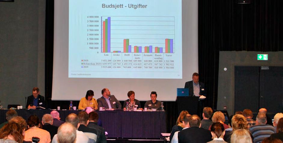 protokoll frå årsmøtet 37 Laget skal ha rekneskap som er revidert av registrert/statsautorisert revisor. Laget skal ha aktivt medlemskap i ein arbeidsgjevarorganisasjon.