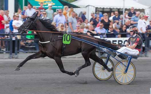 GRATIS INNGANG Banekode: 0 Varmingsinfo fra Ole onny Solberg BERKEBANEN Nr 6/09 Kr V7 Bonus - jackpot med 9 kr ekstra i sjuerpotten! Kick Off Classic/Dag-Sveinung Dalen. Foto: hesteguiden.com www.