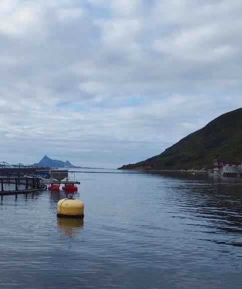 Kystsonen - arena Foto: Maria Larsen Seivåg Sjøretta næringer Akvakulturnæringen Havgående fiskere Næringsbevisste lokalpolitikere Deler av staten (fiskerimyndighetene) «Lokal