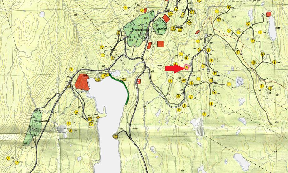 Figur 2 Oversiktskart over deler av reguleringsplan Berg/Garli. Den omsøkte eiendommen er vist med rød pil.