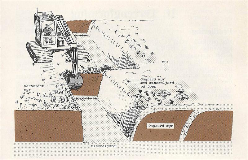 Dyrking ved omgraving Torva legges i bunnen, mens mineraljord blandet med torv legges på toppen