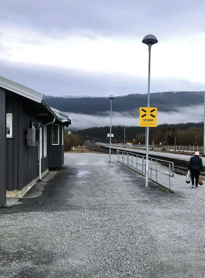 JA til Nord-Norgebanen Arbeide for forsvarlig kartlegging og håndtering av utslipp fra gamle industrideponier i Bleikvasslia og Ranfjorden, og bidra aktivt i kampen mot nye utslipp av miljøgifter.