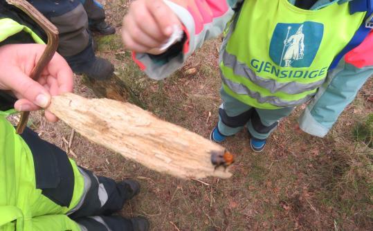 » Barna står samlet rundt et barn som har funnet en humle i skogen og undrer seg over hvorfor den ikke beveger seg.