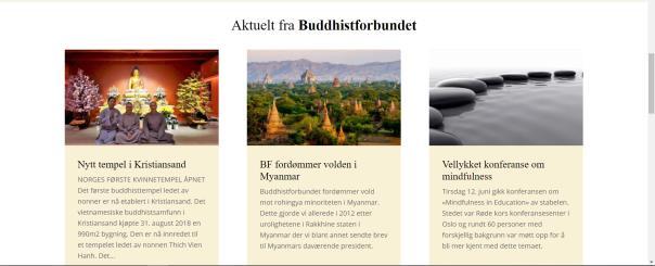 Men når det gjelder denne saken kan en kanskje gjøre et unntak: Buddhistforbundet har vedtatt å lage en ny hjemmeside.