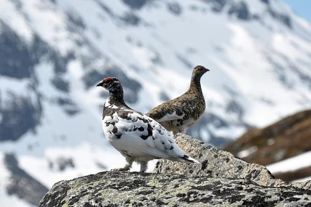 større enn det som trengst til tiltak innan